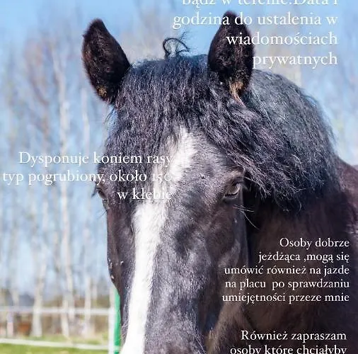 Dawna Mleczarnia Miodowy Nowa Ruda